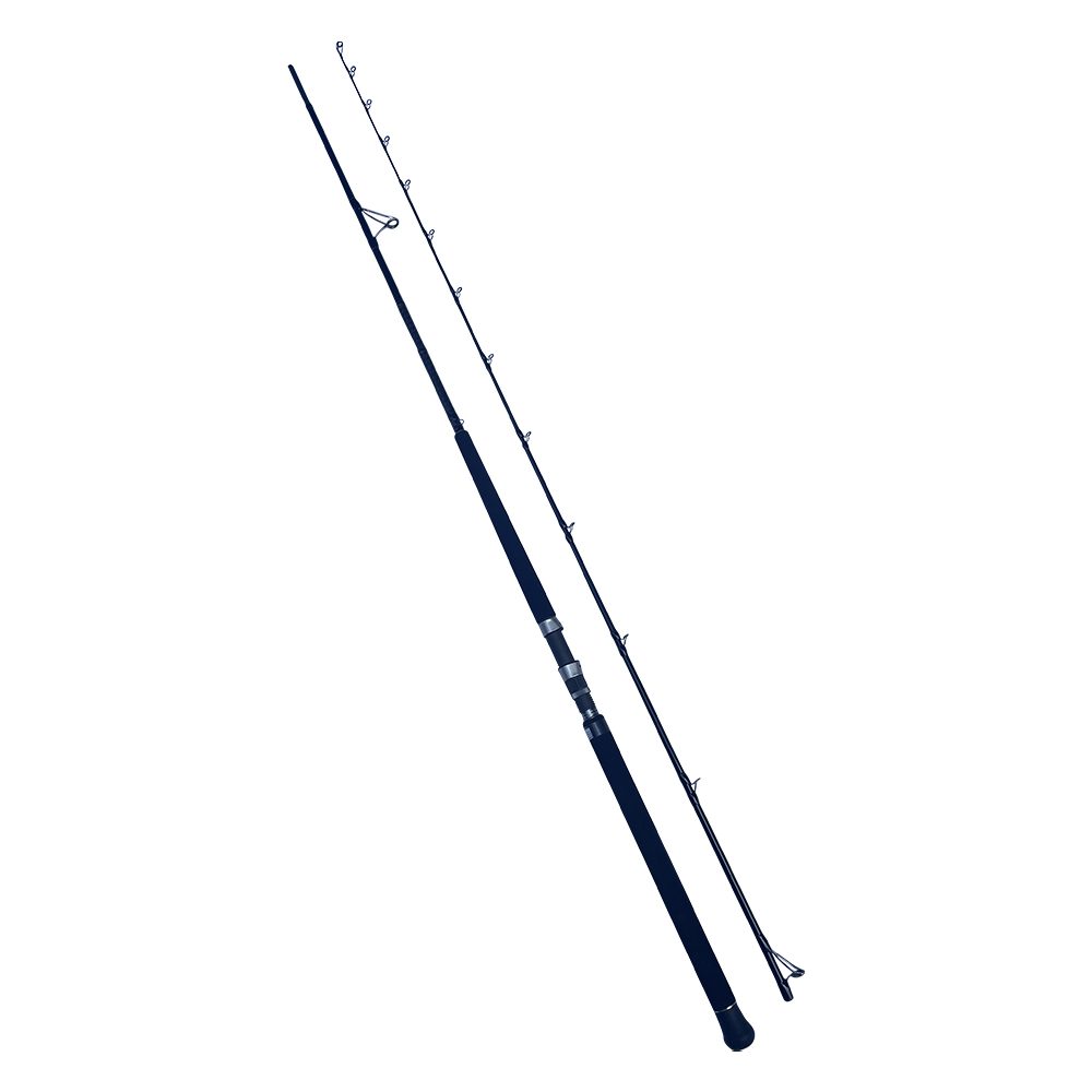 24-481-12 TS Shore Jigging 10' 305cm 30-100g 2sec