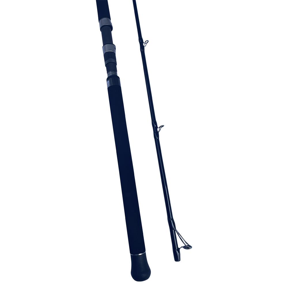 24-481-12 TS Shore Jigging 10' 305cm 30-100g 2sec