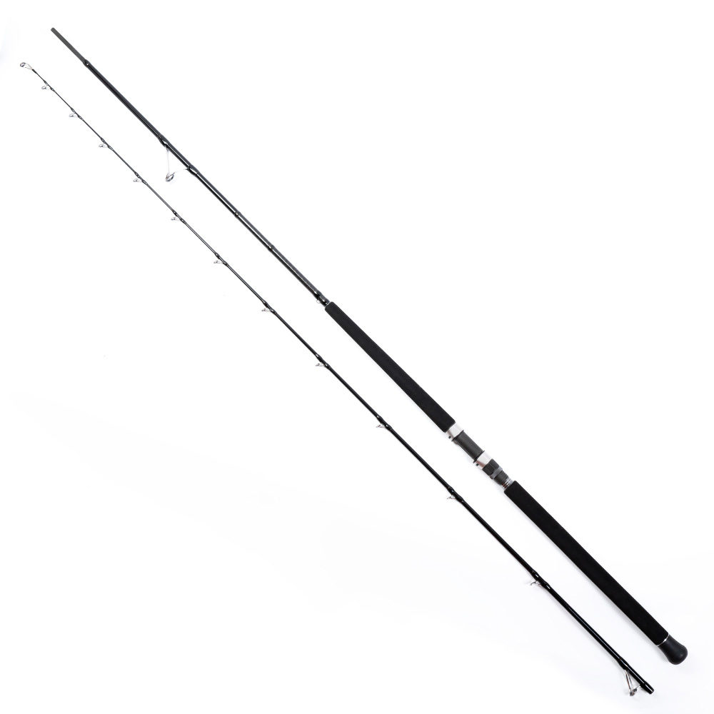 24-481-12 TS Shore Jigging 10' 305cm 30-100g 2sec