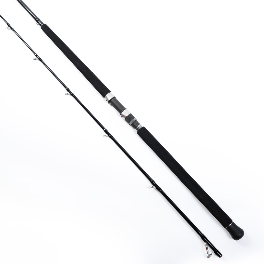 24-481-12 TS Shore Jigging 10' 305cm 30-100g 2sec